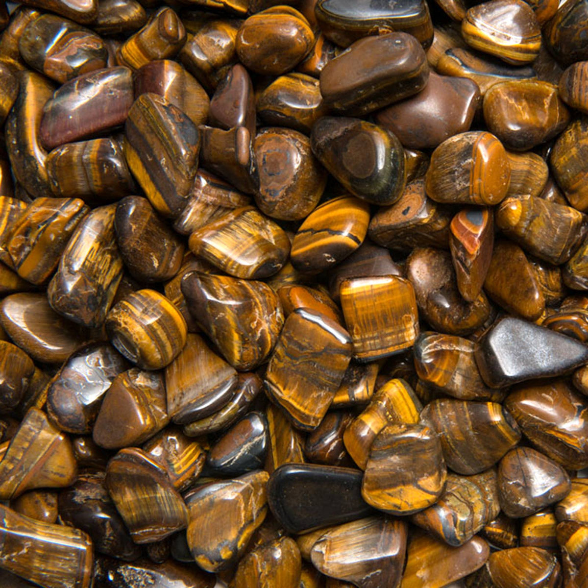 Tumbled Tiger Eye - S - A Grade - Brazil