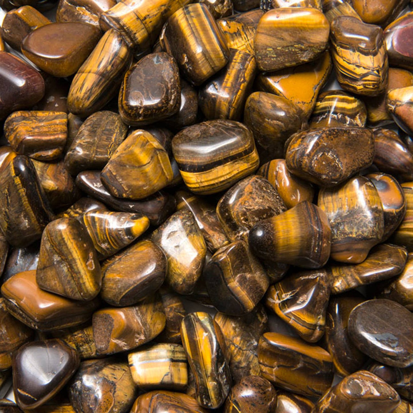 Tumbled Tiger Eye - M - EX Grade - Brazil