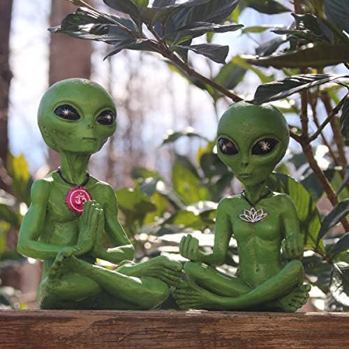 Alien Invasion "Zen and Yoga” Couple Meditating Figurine Set