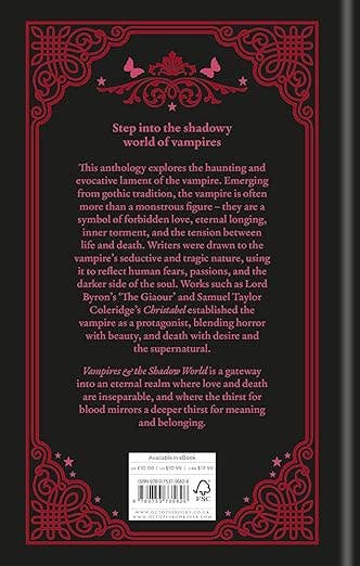 Book back cover with vampire-themed text and decorative border
