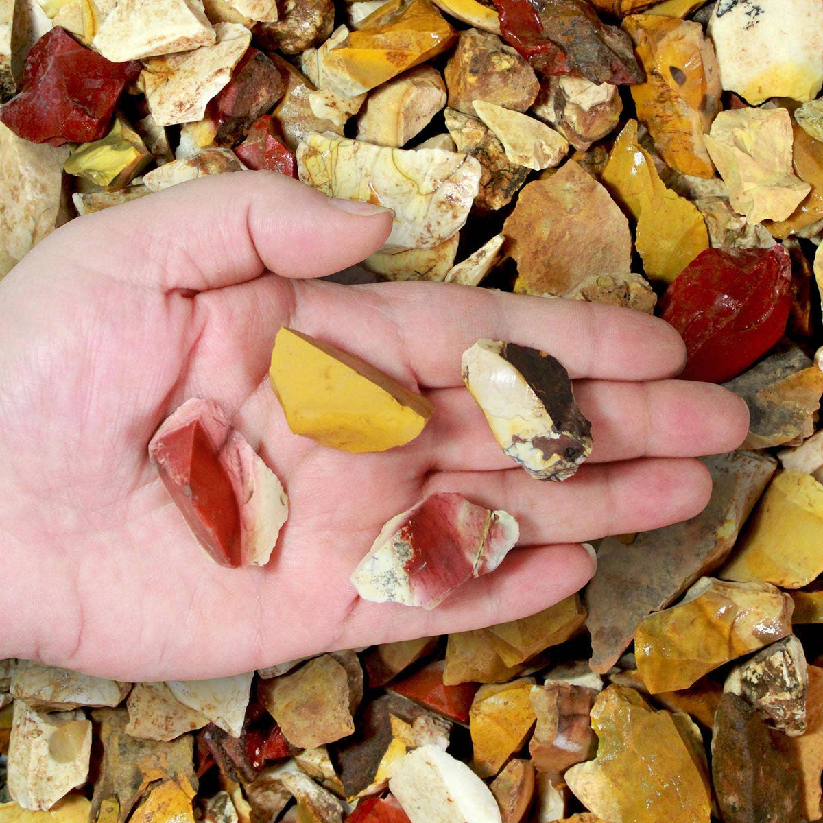 Rough Mookaite - Australia