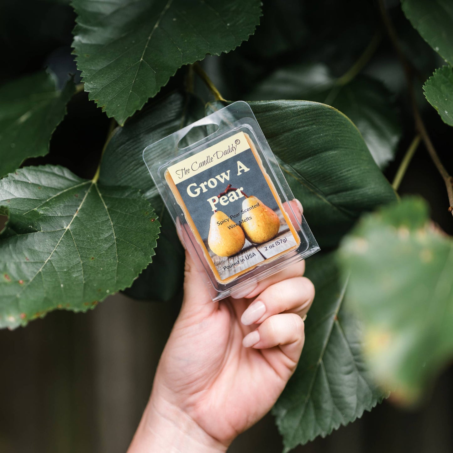 GROW A PEAR - SPICE PEAR SCENTED WAX MELT - 1 PACK - 2 OUNCE