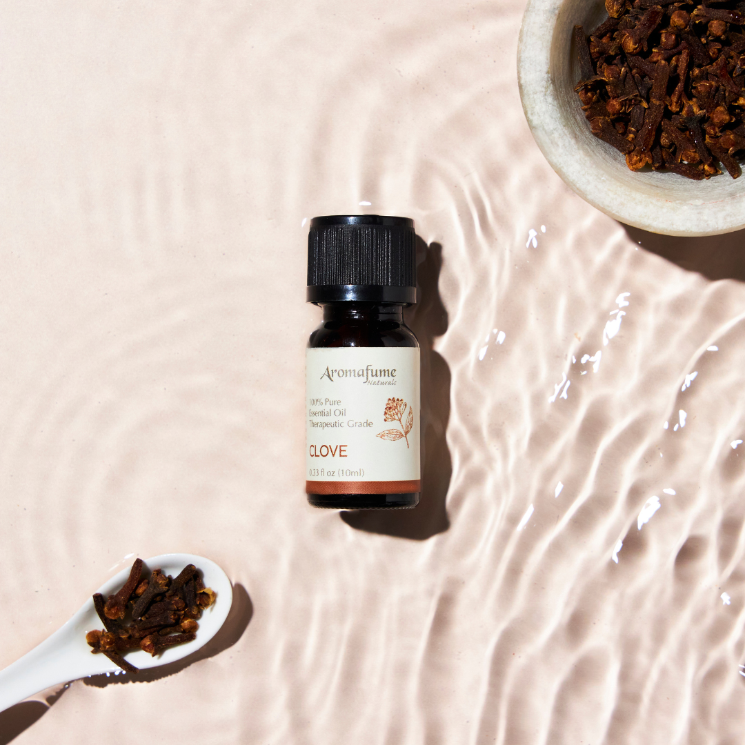 Clove Essential Oil | 100% Pure Aromatherapy Oil
