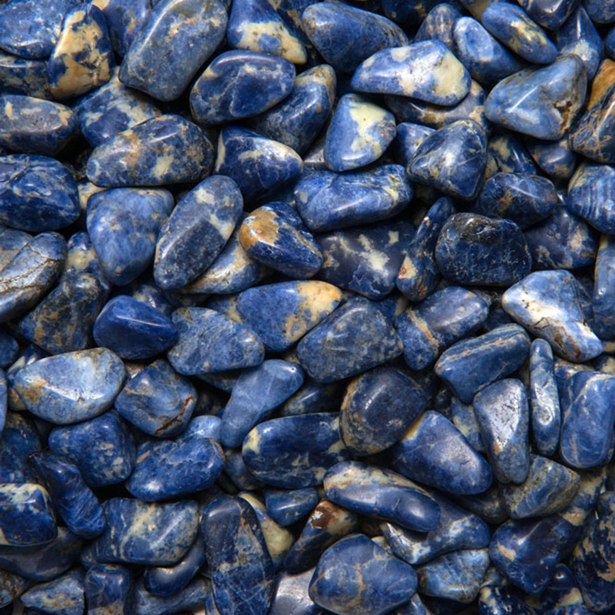 Tumbled Sodalite - S - B Grade - Brazil