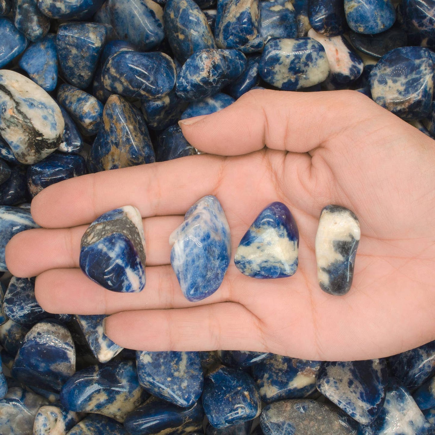 Tumbled Sodalite - M - B Grade - Brazil