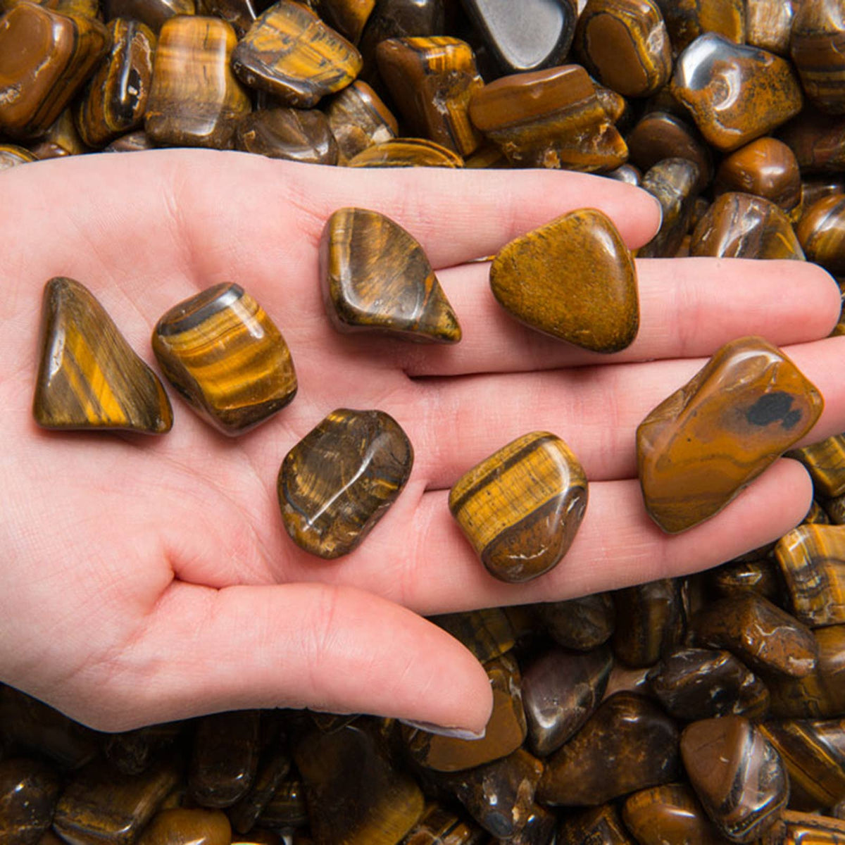 Tumbled Tiger Eye - S - A Grade - Brazil