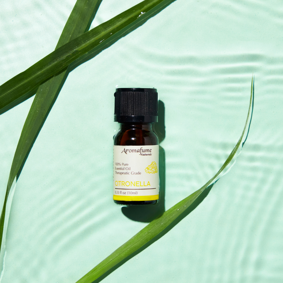 Cintronella Essential Oil | 100% Pure Aromatherapy Oil