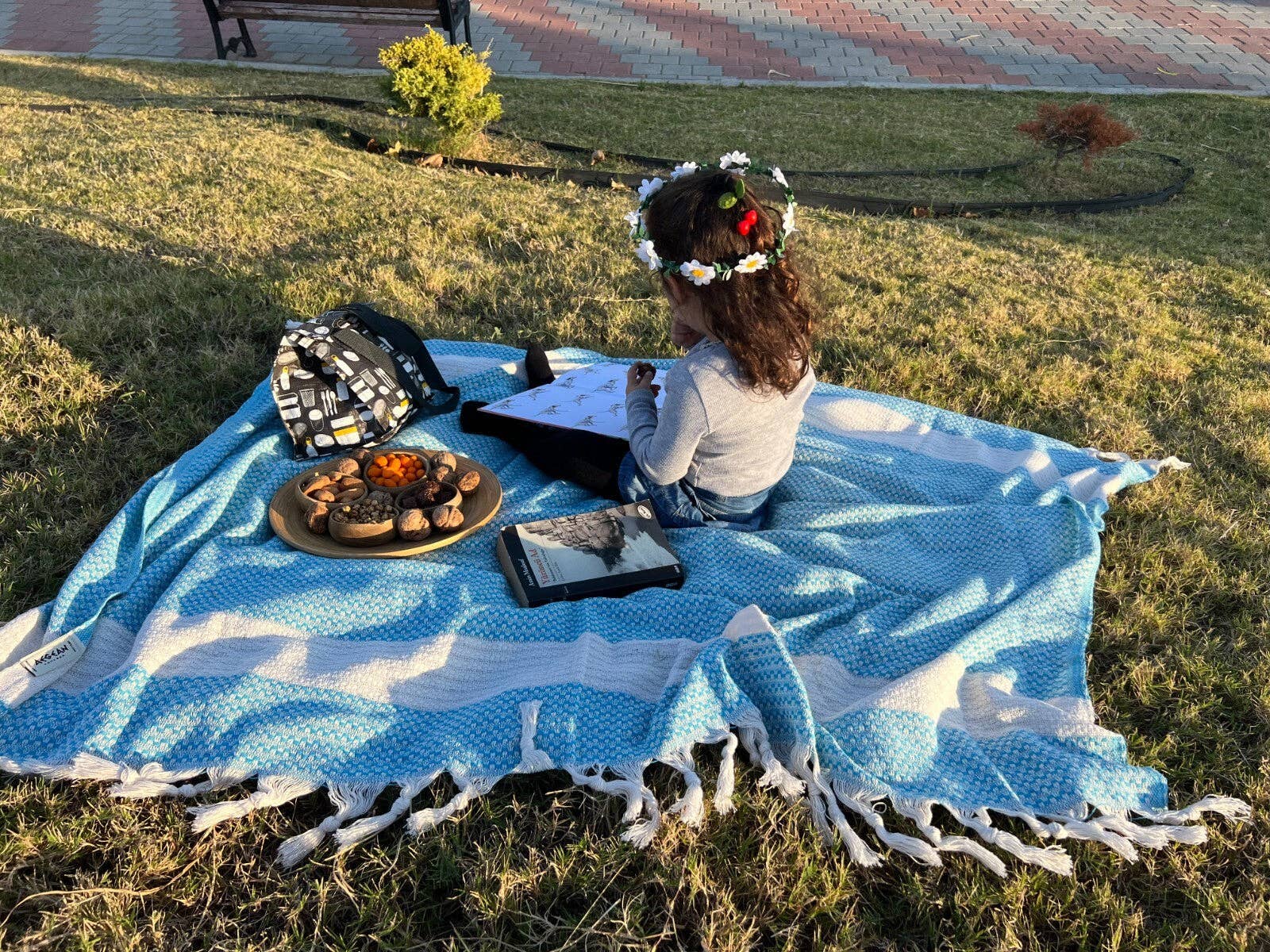 Person sitting on a blue picnic blanket with food and a laptop in a park