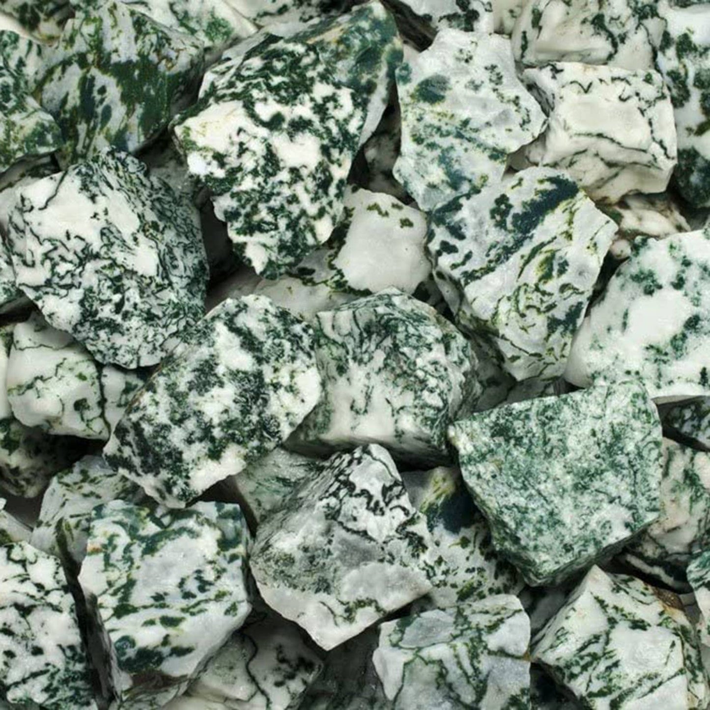 Rough Tree Agate- India - Raw Natural Stones