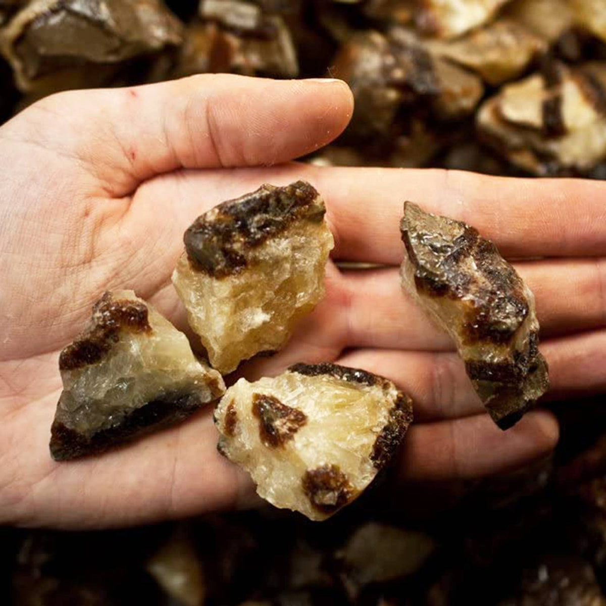 Rough Septarian Crystals - Raw Natural Stones