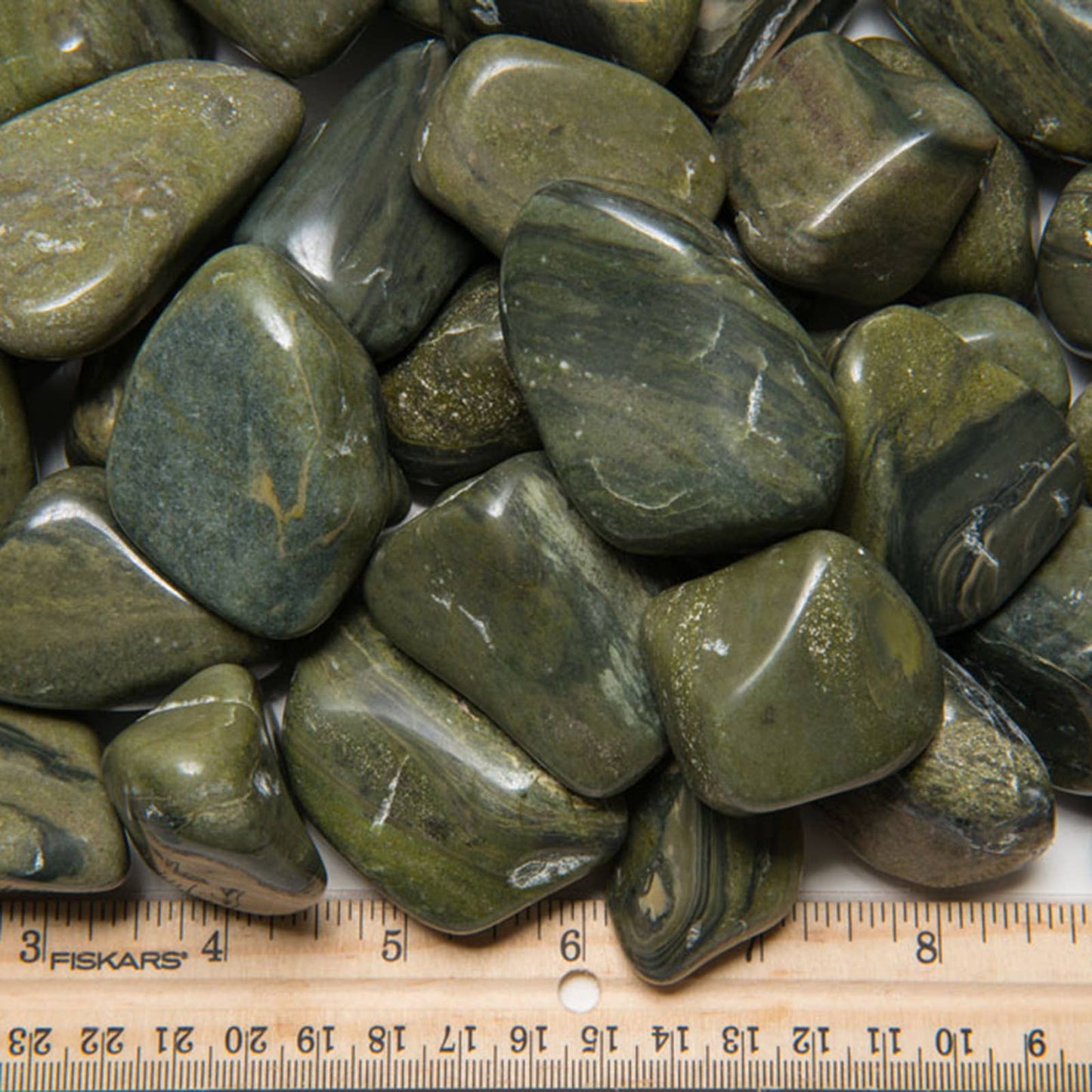 Tumbled Green Jasper - XL - A Grade - Brazil