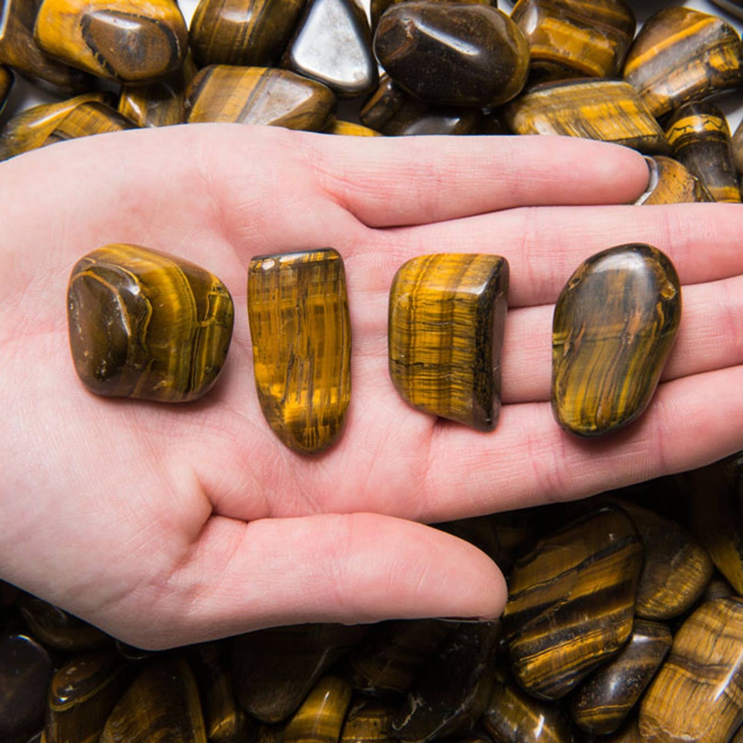Tumbled Tiger Eye - M - EX Grade - Brazil