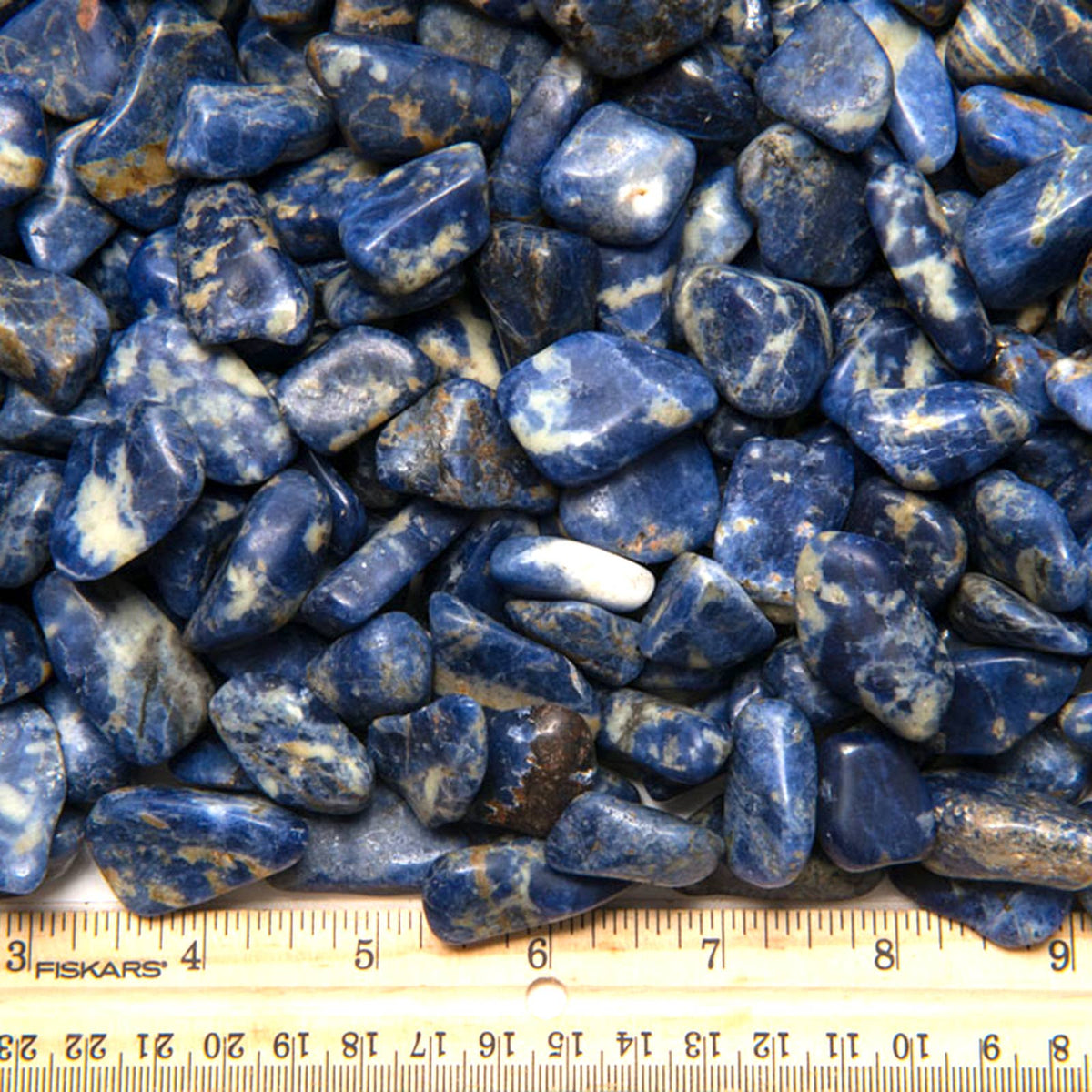 Tumbled Sodalite - S - B Grade - Brazil