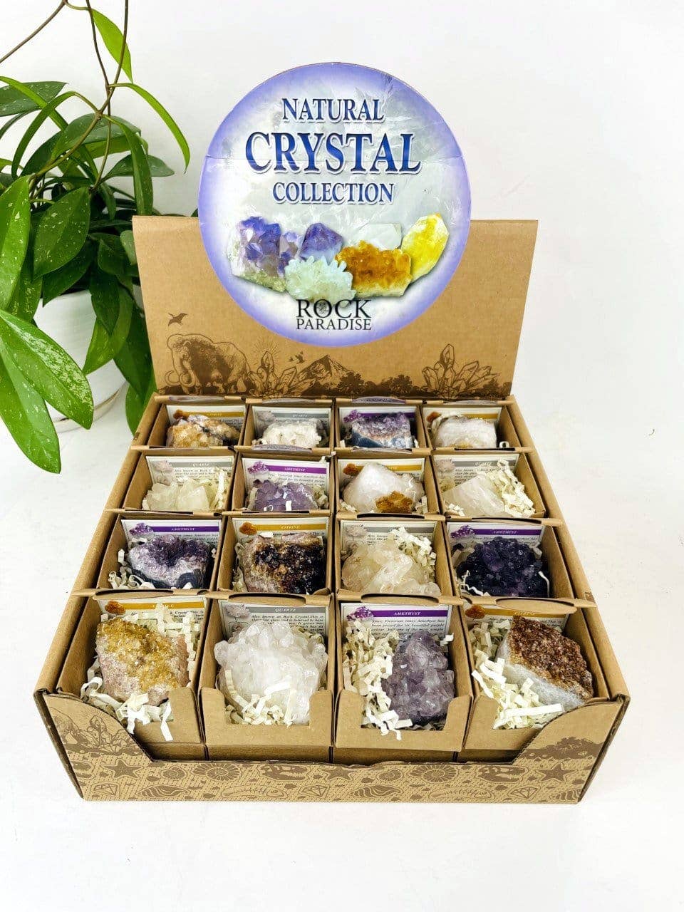 Natural Crystal Collection