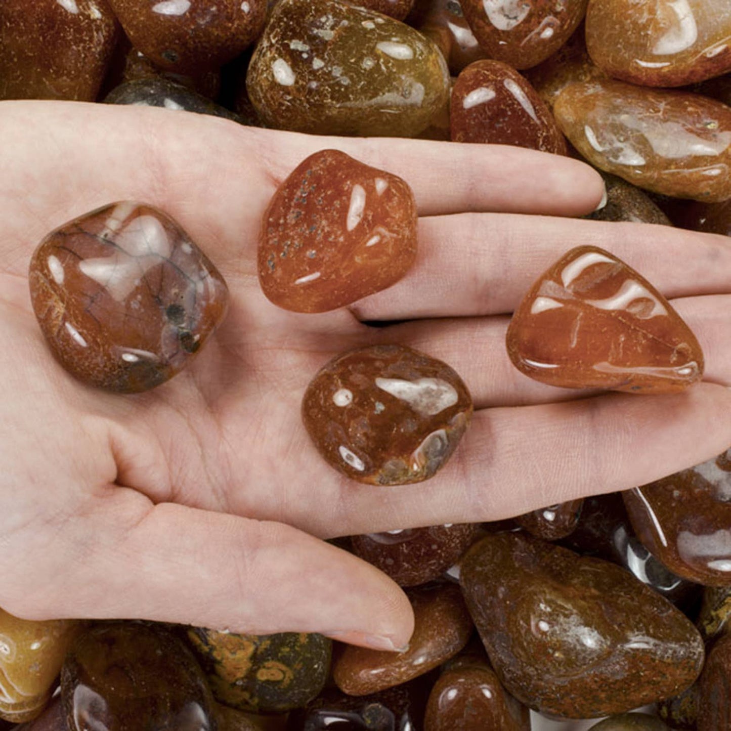 Tumbled Carnelian - M - B Grade - Brazil