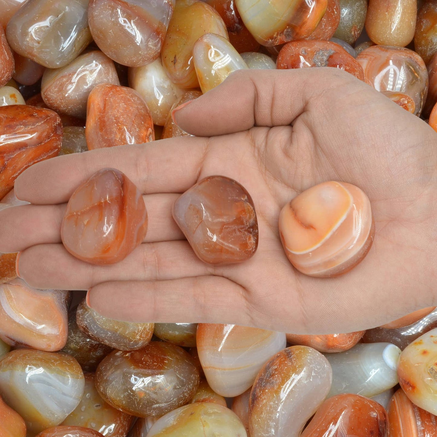 Tumbled Carnelian - L - A Grade - Brazil