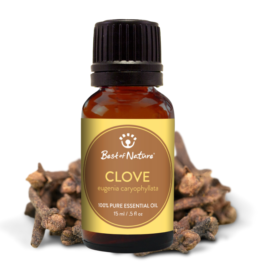 Clove Bud Essential Oil, 100% Pure - 15ml / 100ml