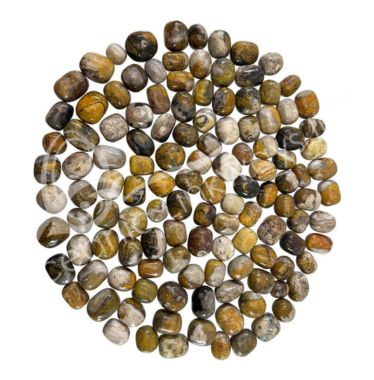 A pile of polished bumble bee jasper stones in earthy tones, including brown, beige, gray, and yellow, arranged in a circular cluster on a plain white background.