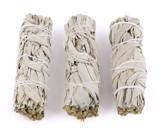 Three bundles of sage smudge sticks tied with white string on a white background