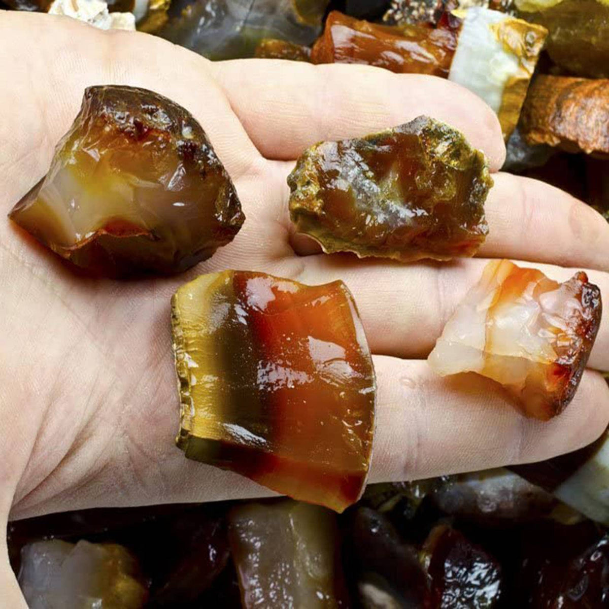 Raw amber pieces on a hand with a blurred background