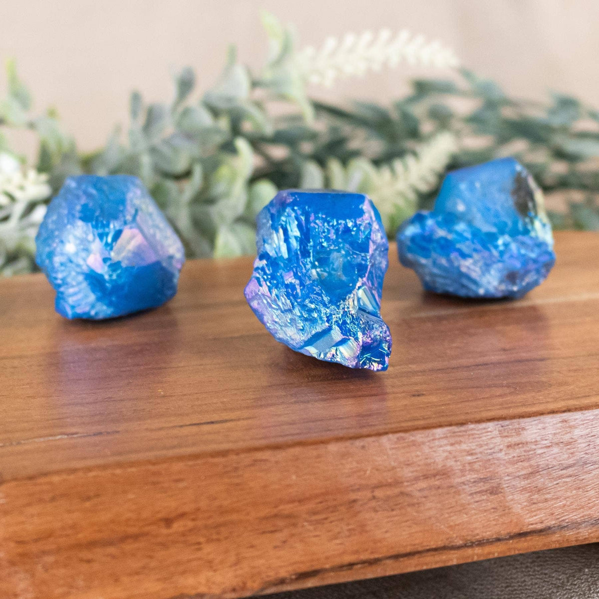 Three raw blue iridescent crystals displayed on a wooden surface with blurred green foliage in the background.