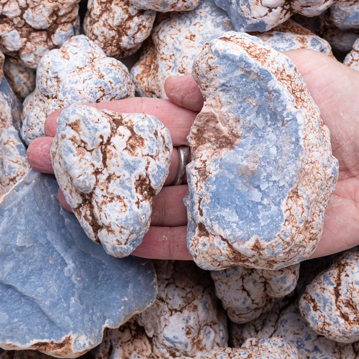 A hand holding two rough, polished blue-gray stones with brown and white marbled patterns, surrounded by a pile of similar stones.