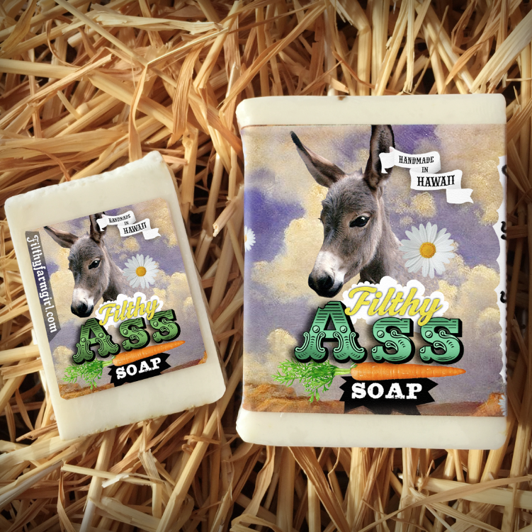 Two bars of soap with a donkey graphic and 'Filthy Ass Soap' text on a straw background.
