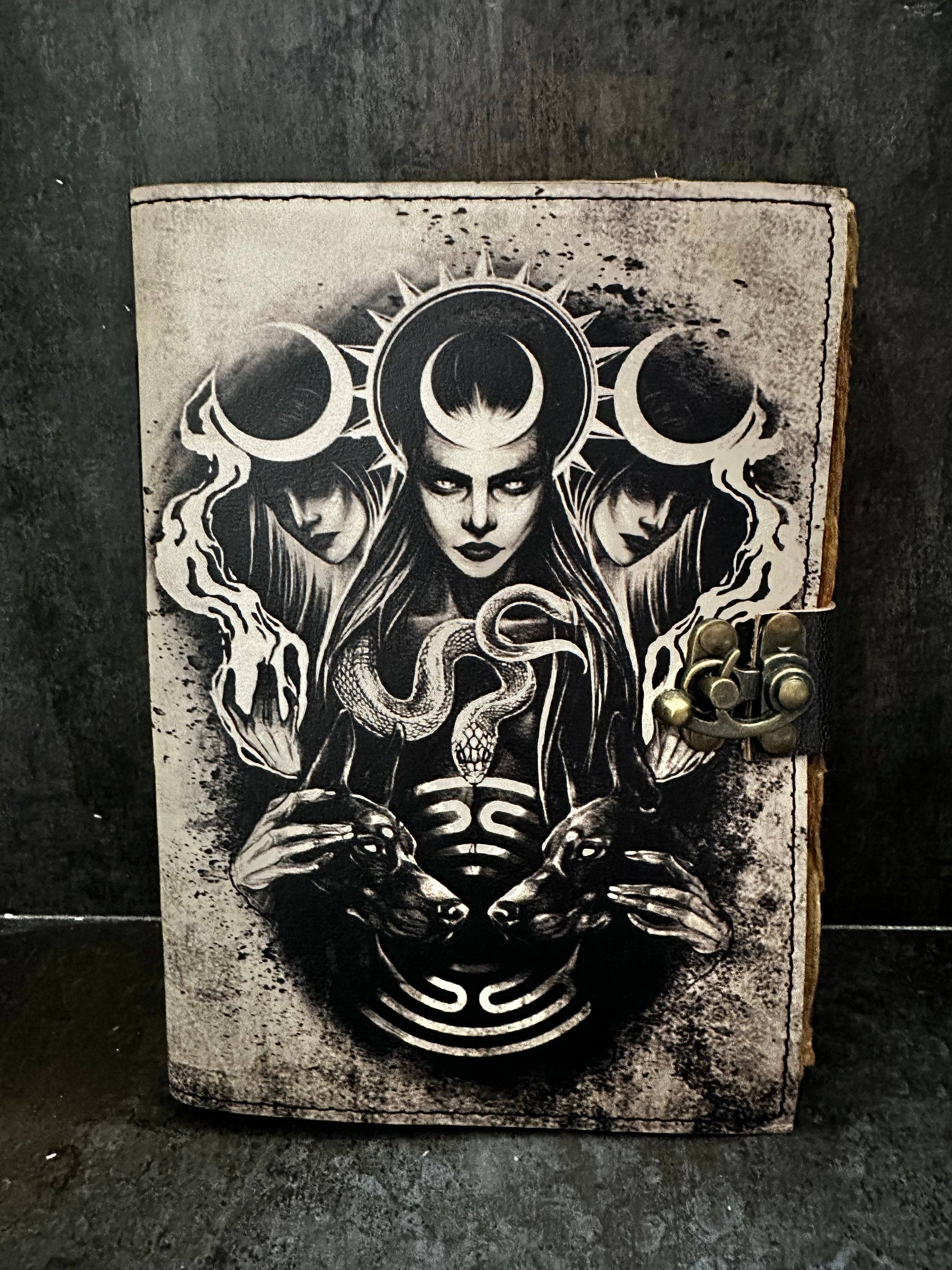 Decorative book with a black and white illustration of a woman holding a snake, against a dark background.