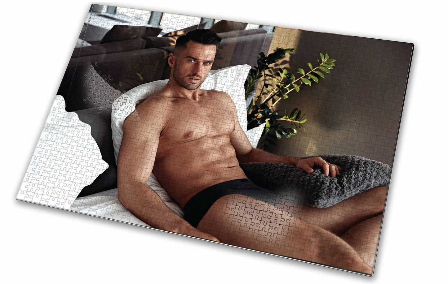 Man sitting on a couch wearing black underwear with a blurred background