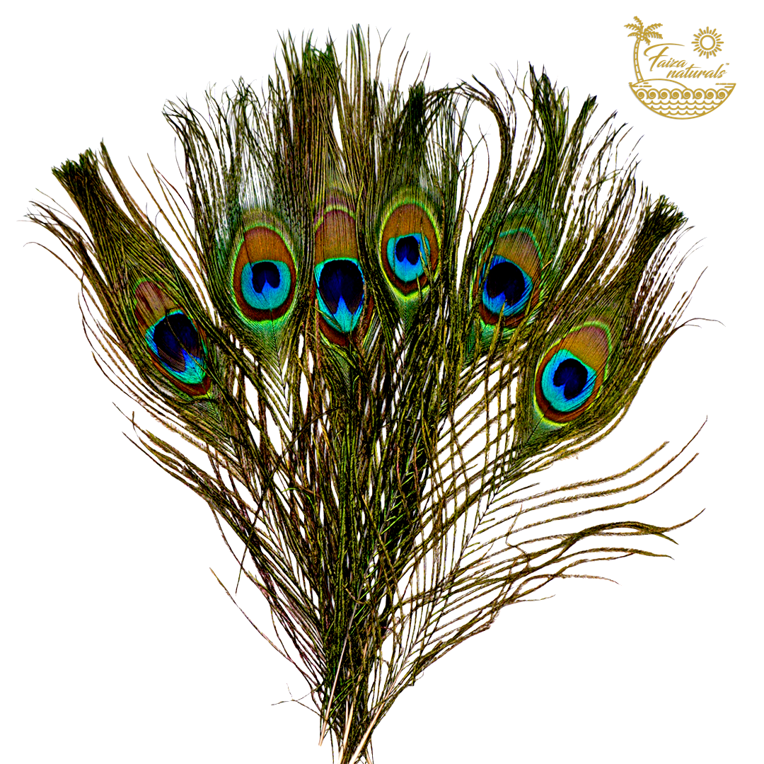 Peacock feathers with a visible brand logo on a white background
