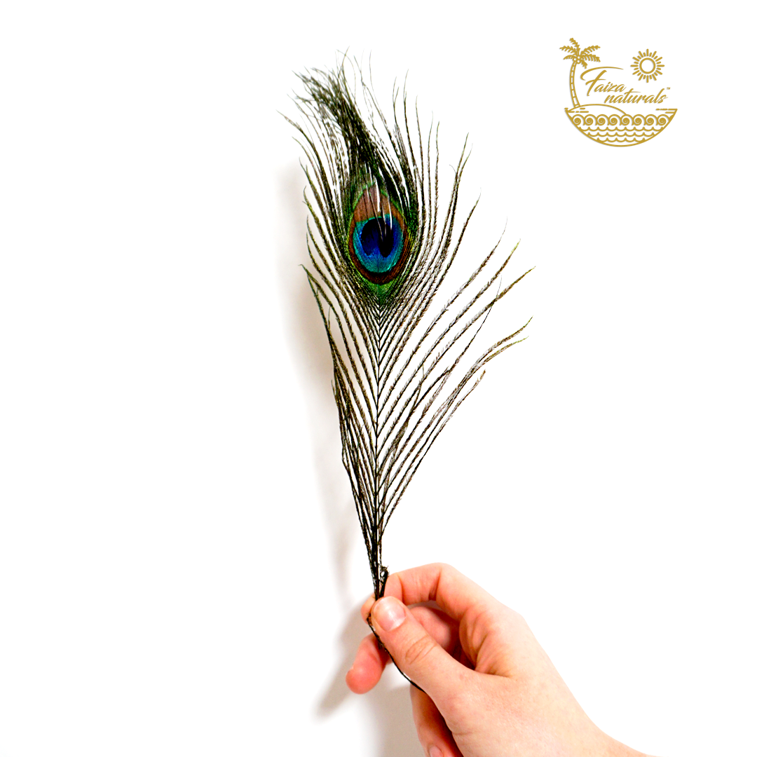 Hand holding a peacock feather against a white background with 'Farma Naturale' logo.