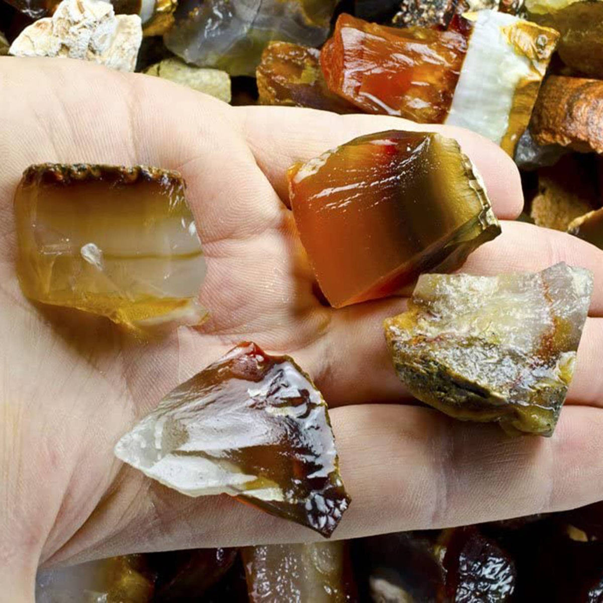 Hand holding various polished gemstones with a blurred background