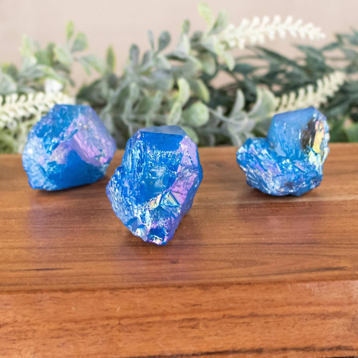 Three raw blue iridescent crystals displayed on a wooden surface with a blurred green plant background.