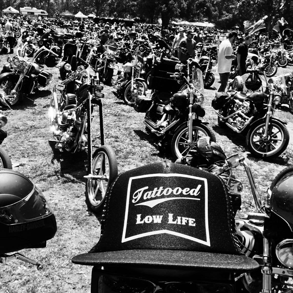 Collection of motorcycles with 'Tattooed Low Life' on a grassy field