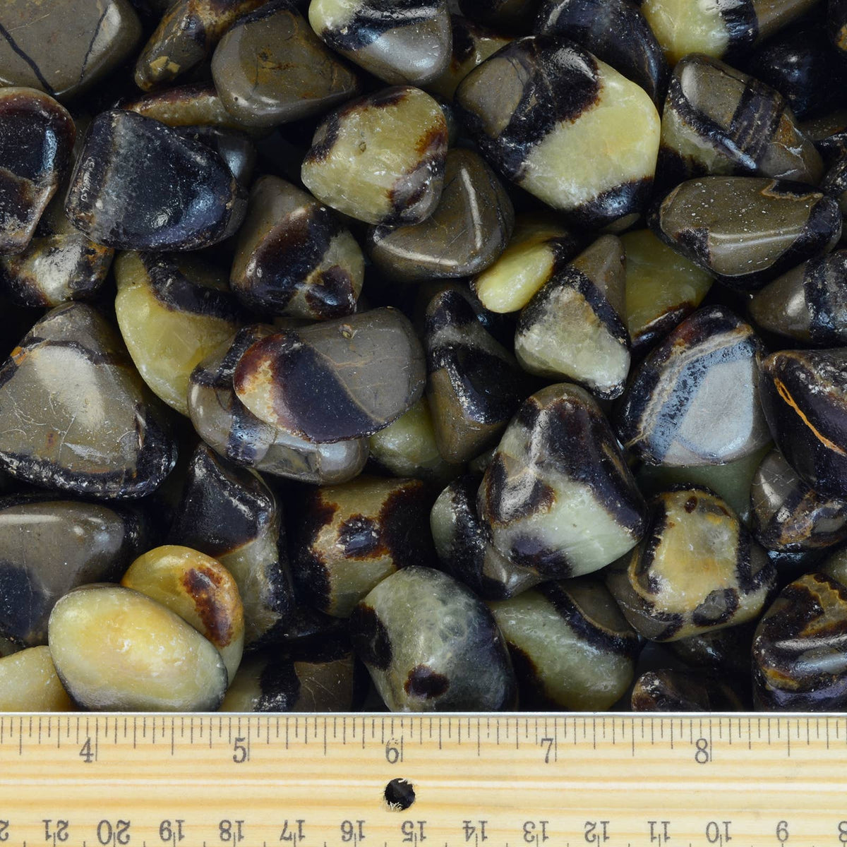 Close-up of dark and light-colored stones with a ruler at the bottom for size reference.