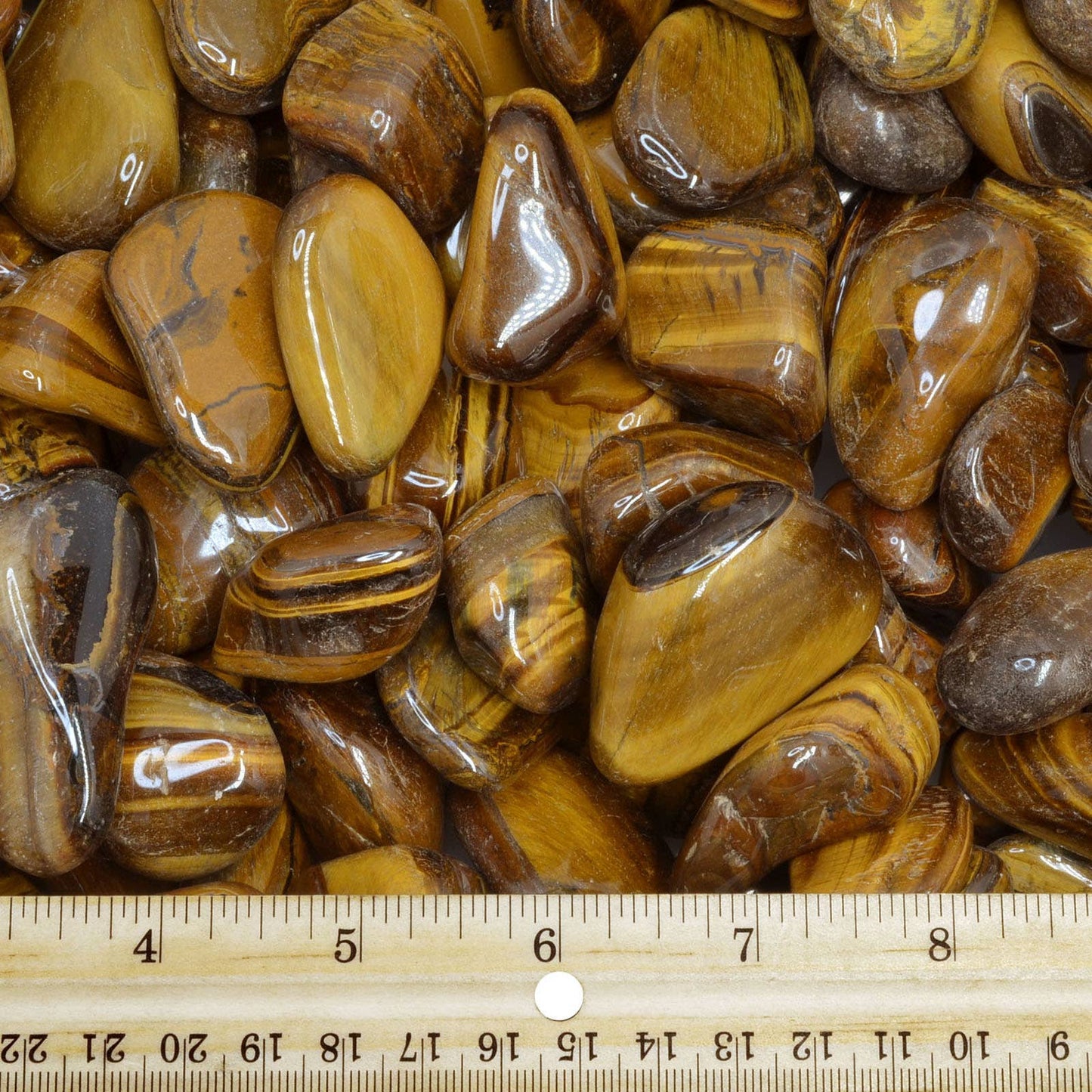 Tumbled Gold Tiger Eye - 1" to 1.75" - Size 8