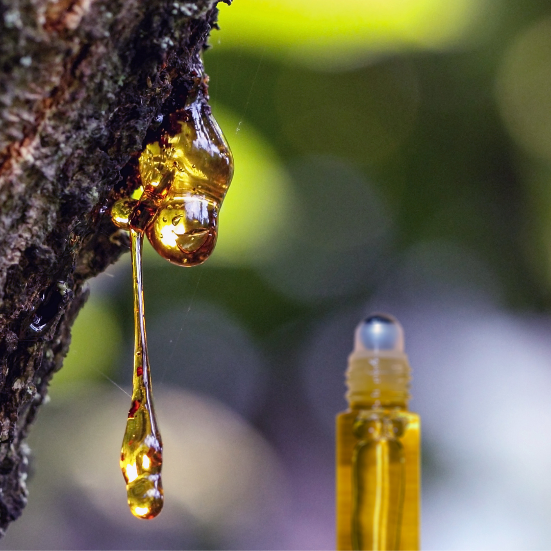 Frankincense & Myrrh Roll On | Fragrance Oil Roll On