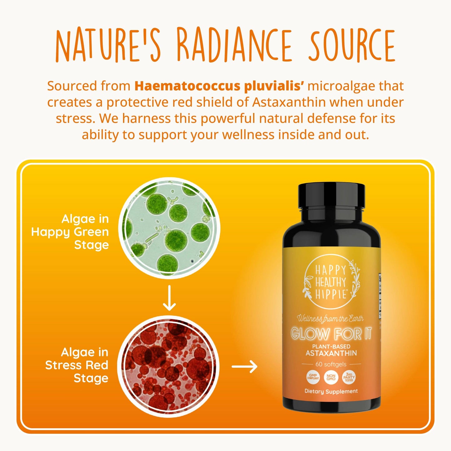 Astaxanthin Antioxidant Supplement