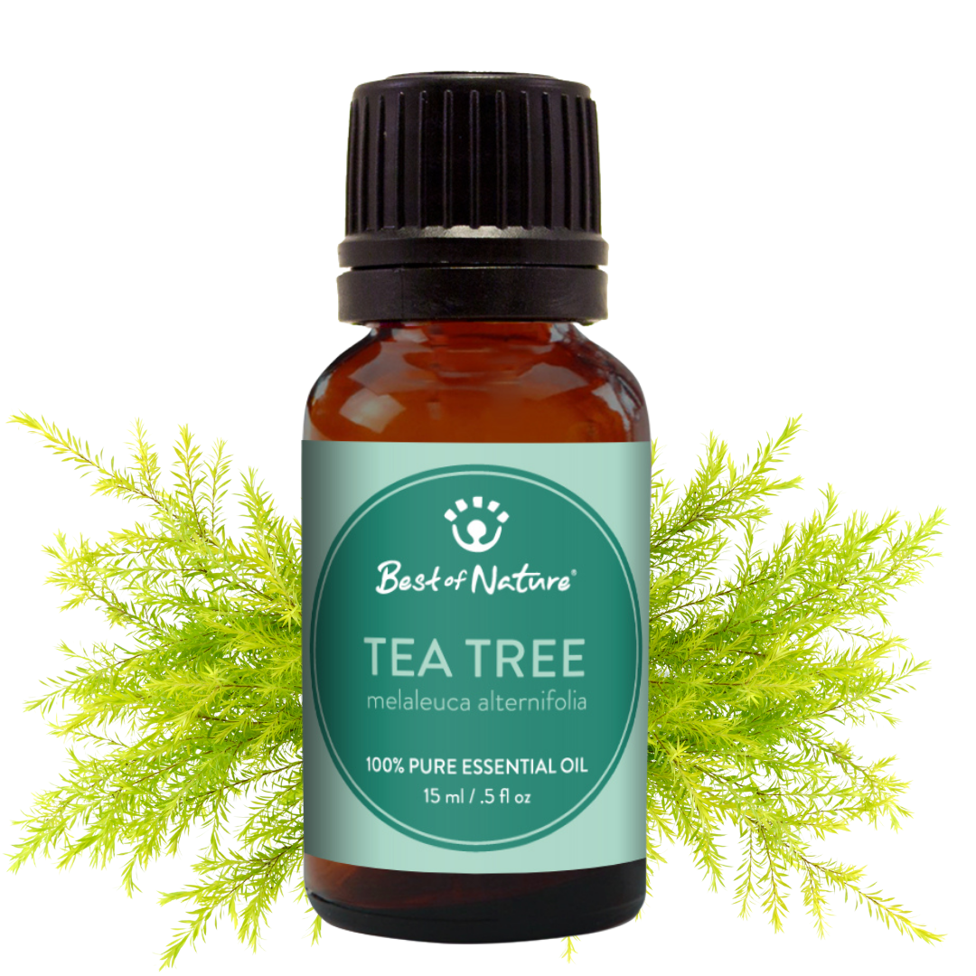 Tea Tree Essential Oil, 100% Pure - 15ml / 100ml