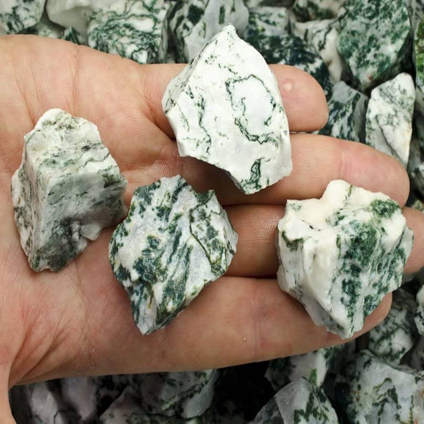 Rough Tree Agate- India - Raw Natural Stones