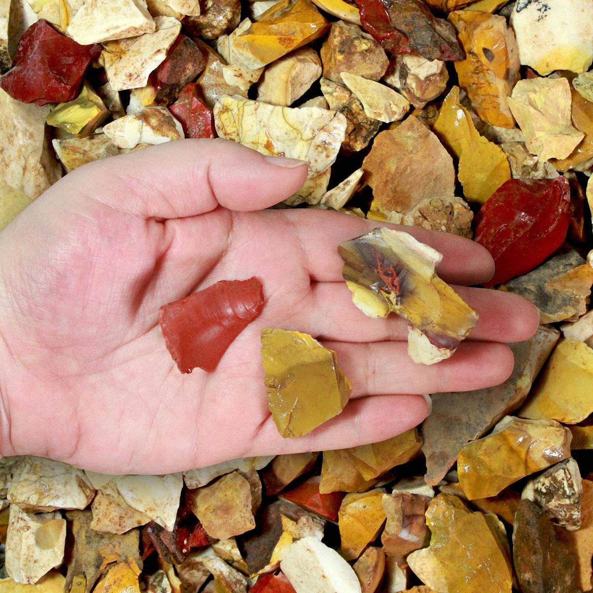 Rough Mookaite - Australia