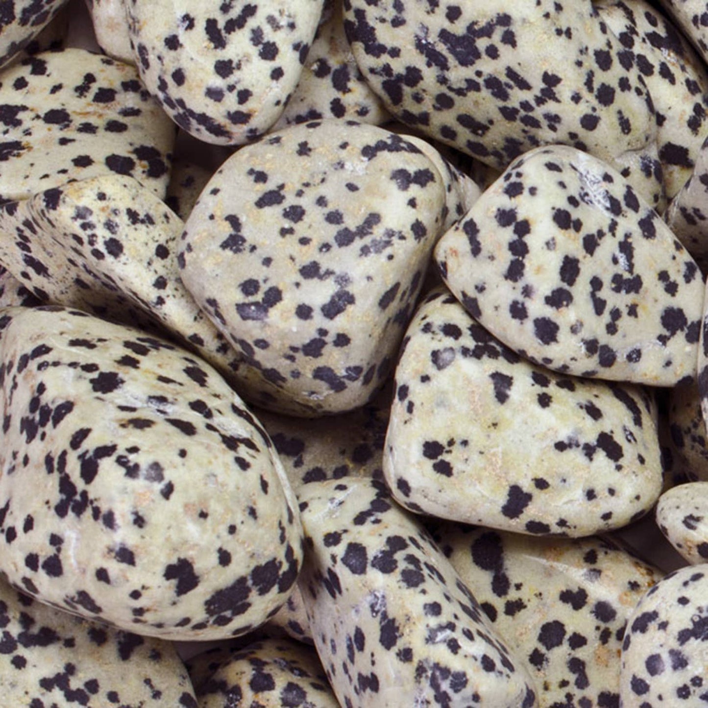 Tumbled Dalmatian Jasper - M - A Grade - Brazil