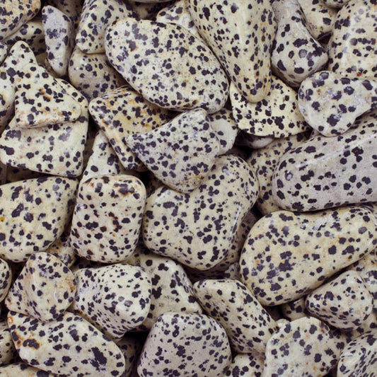 Tumbled Dalmatian Jasper - M - A Grade - Brazil