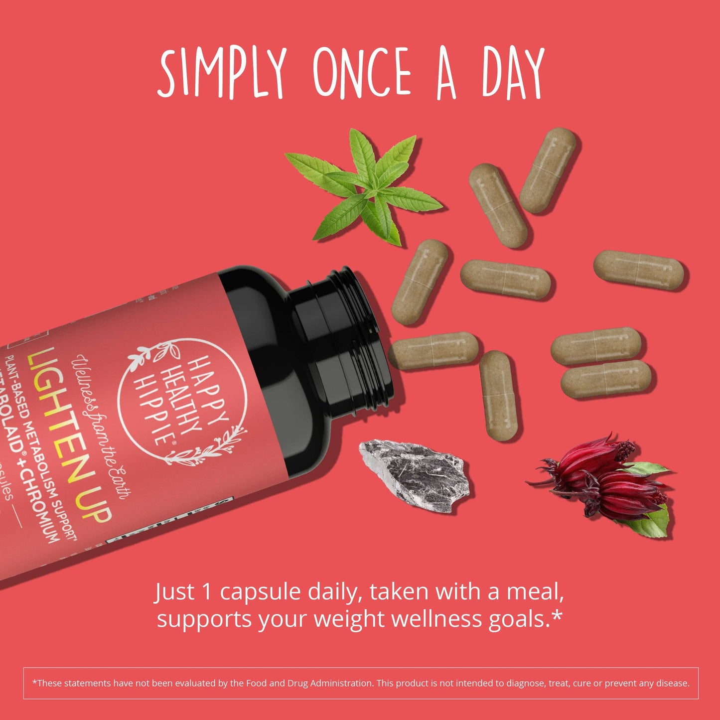 Metabolaid Metabolism Support