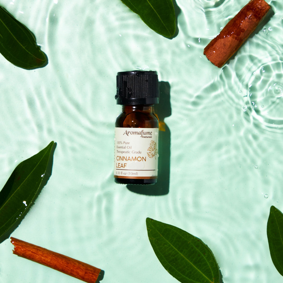 Cinnamon Leaf Essential Oil | 100% Pure Aromatherapy Oil