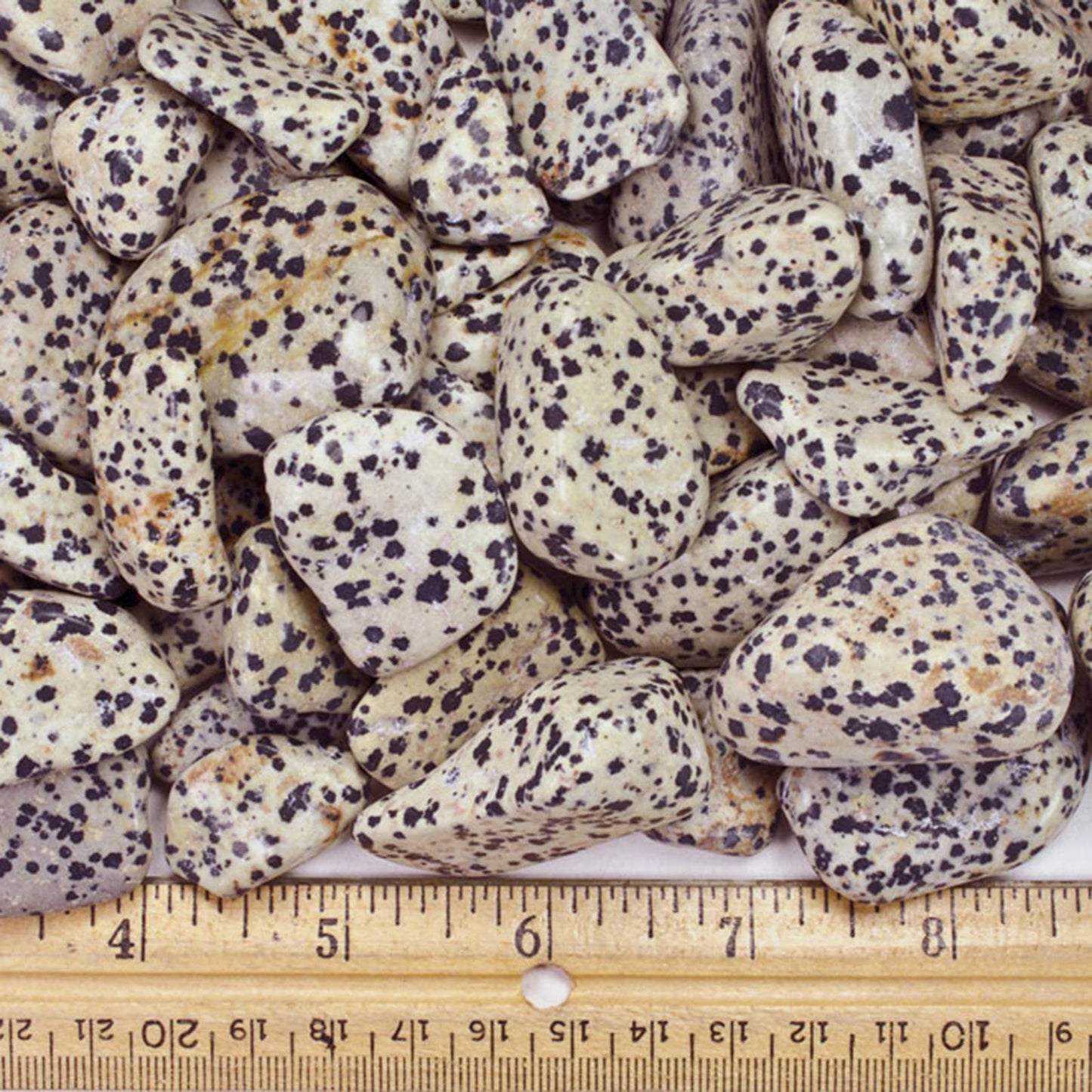 Tumbled Dalmatian Jasper - M - A Grade - Brazil