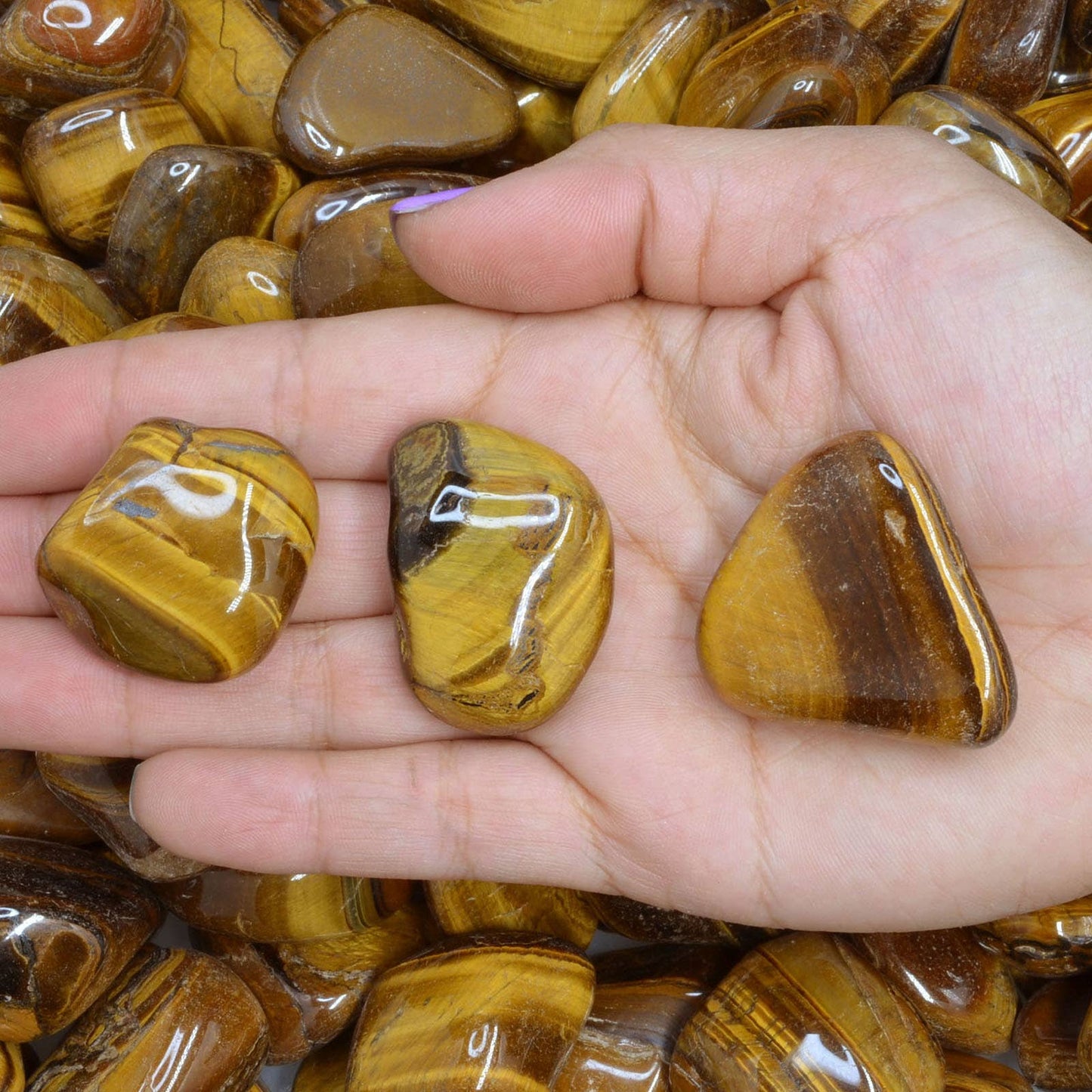 Tumbled Gold Tiger Eye - 1" to 1.75" - Size 8