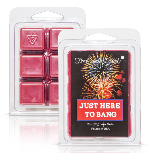 JUST HERE TO BANG -  JUICY SUMMER WATERMELON - WAX MELT