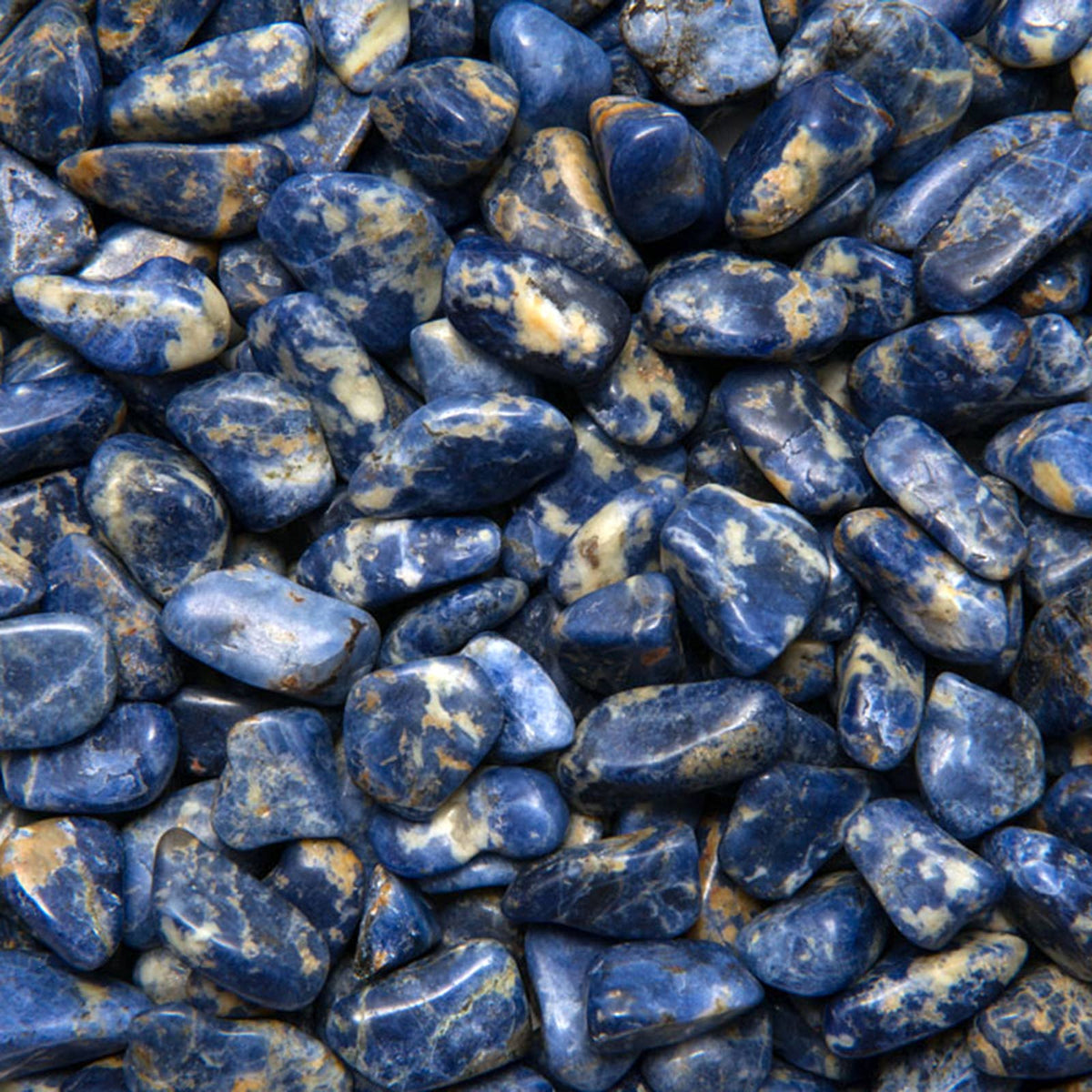 Tumbled Sodalite - S - B Grade - Brazil