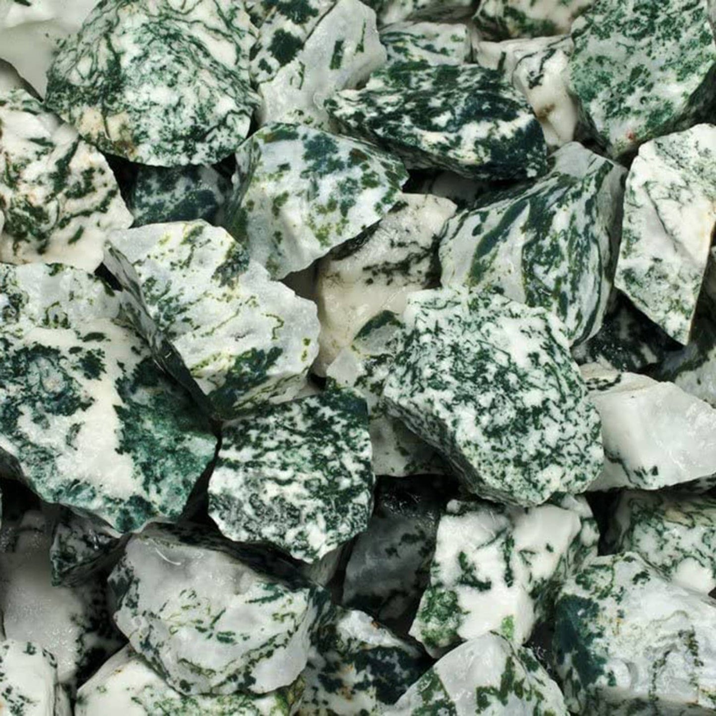Rough Tree Agate- India - Raw Natural Stones